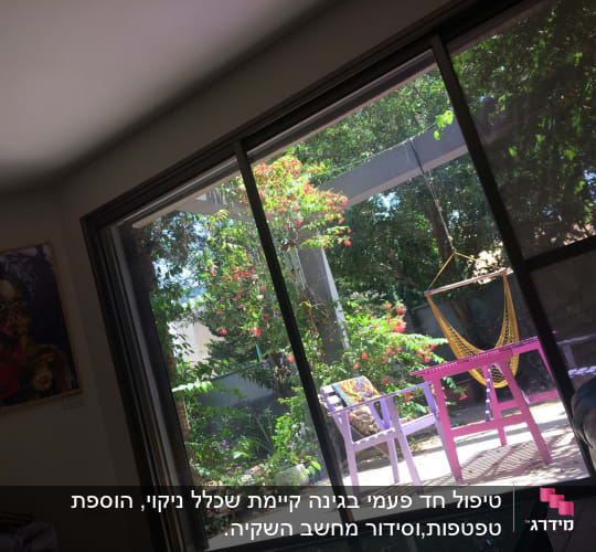 גינה עם צמחים ירוקים ופרחים צבעוניים